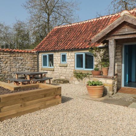 Foxglove Cottage York Bagian luar foto